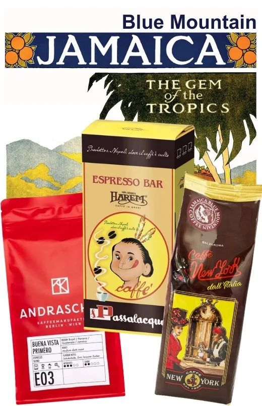 Jamaica Blue Mountain Espresso Provset