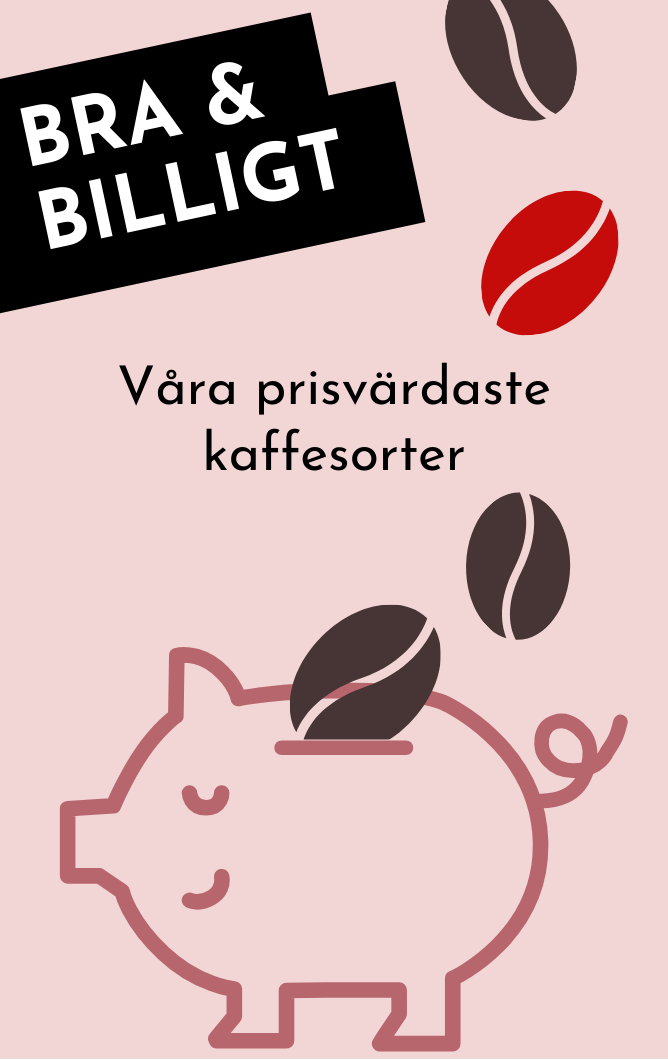 Espresso International